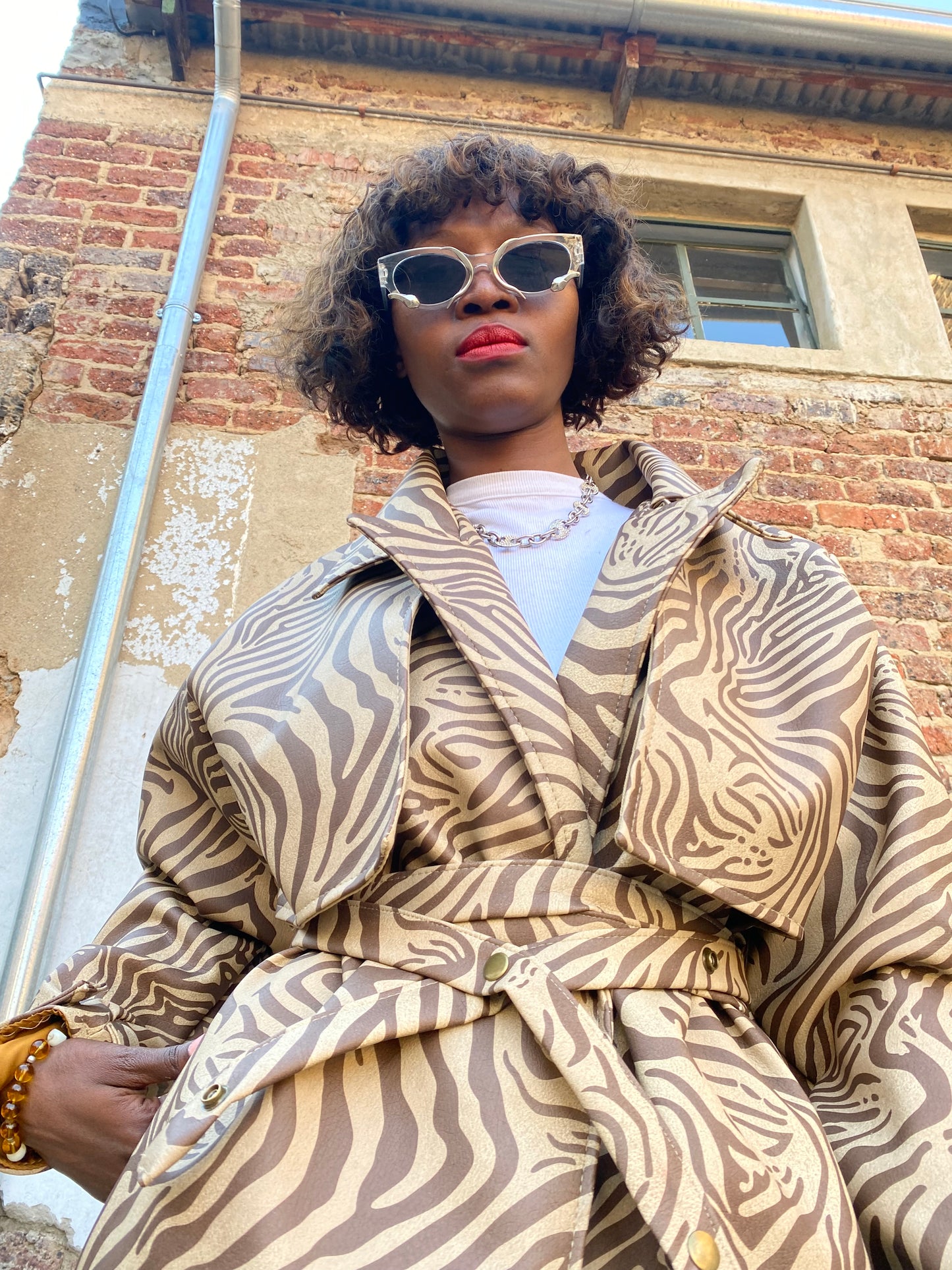 long faux zebra print